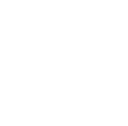 PET HISTÓRIA